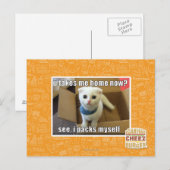 Carte Postale U me prennent à la maison maintenant ? (Devant / Derrière)