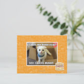 Carte Postale U me prennent à la maison maintenant ? (Debout devant)