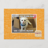 Carte Postale U me prennent à la maison maintenant ? (Devant)