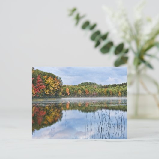 Carte Postale U. P. Michigan Automne Réflexions (Debout devant)