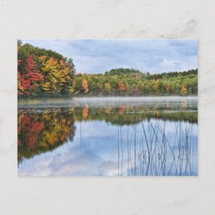 Carte Postale U. P. Michigan Automne Réflexions
