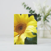 Carte Postale U R mon tournesol (Debout devant)