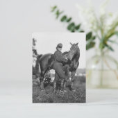 Carte Postale U.S. Horse Artillery, 1863 (Debout devant)