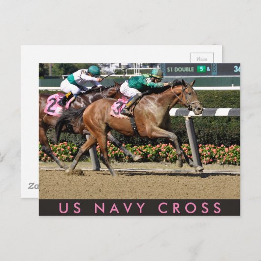 Carte Postale U S Navy (Devant / Derrière)