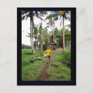 Carte Postale Ubud Bali