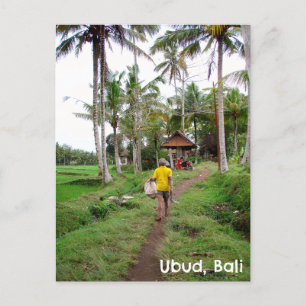 Carte postale Ubud Bali Indonésie rizières homme