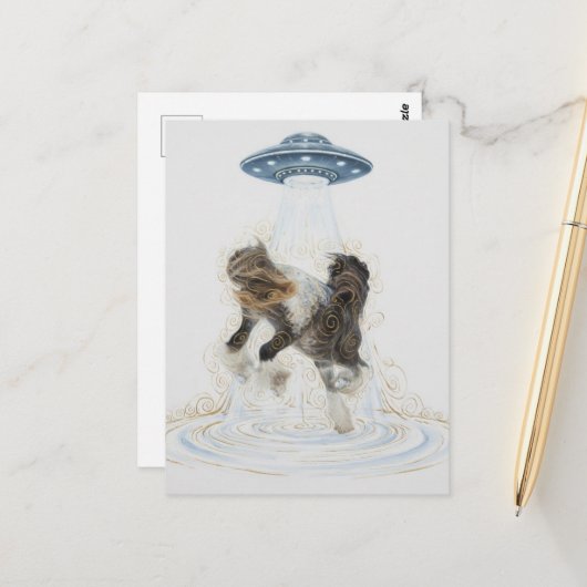 Carte Postale UFO picking up a Gorgeous Horse (Devant/Arrière en situation)