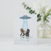 Carte Postale UFO picking up a Gorgeous Horse (Debout devant)