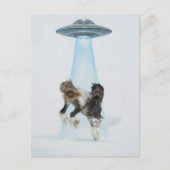 Carte Postale UFO picking up a Gorgeous Horse (Devant)