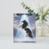 Carte Postale UFO picking up a Spotted Gypsy Vanner Horse (Debout devant)