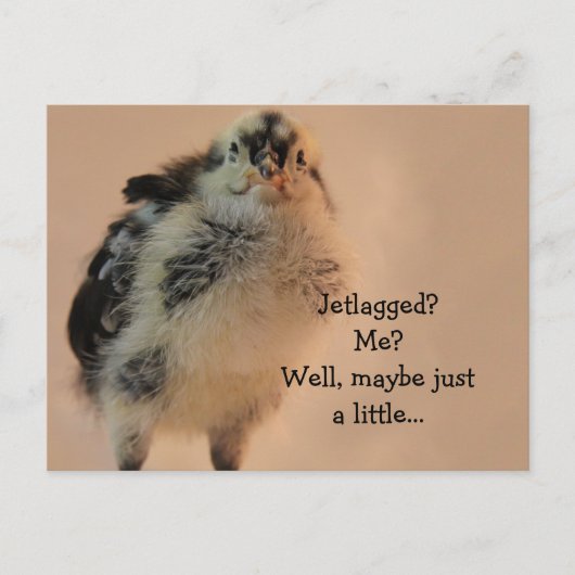 Carte Postale Ugly Chick (Devant)