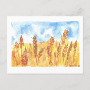 Carte Postale Ukraine Blé Field dessin original de l'aquarelle 
