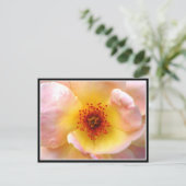 Carte Postale Ultra Fleur (Debout devant)