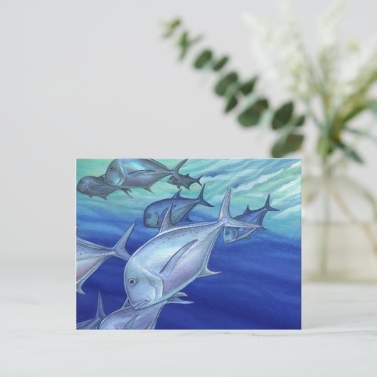 Carte Postale Ulua (Trevally géant) (Debout devant)