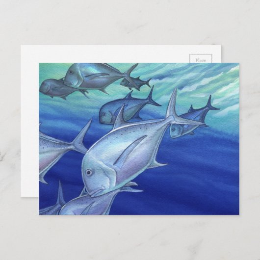 Carte Postale Ulua (Trevally géant) (Devant / Derrière)