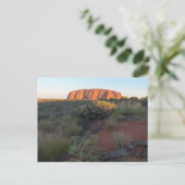 Carte Postale Uluru Sunrise et Flore du désert (Debout devant)