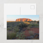 Carte Postale Uluru Sunrise et Flore du désert (Devant / Derrière)