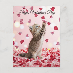 Carte Postale Un adorable chaton attrape des pétales de cœur pou