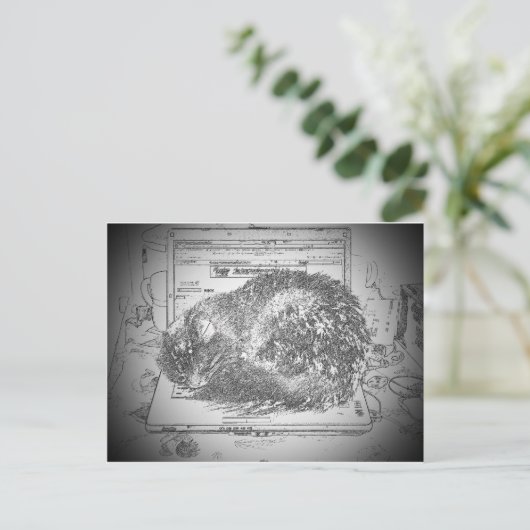 Carte Postale Un Ange Grumpy Sur Un Lap cat Portable ? (Debout devant)