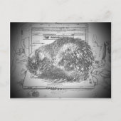 Carte Postale Un Ange Grumpy Sur Un Lap cat Portable ? (Devant)