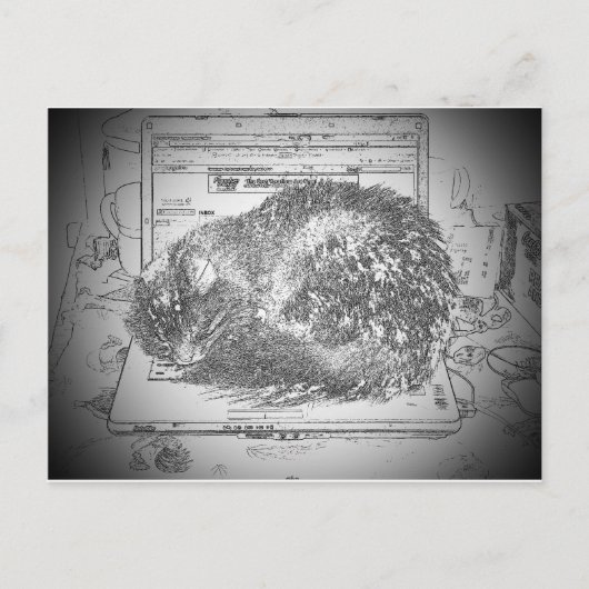 Carte Postale Un Ange Grumpy Sur Un Lap cat Portable ? (Devant)