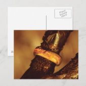 CARTE POSTALE UN ANNEAU POUR LES RÉGLER TOUS™ (Devant / Derrière)