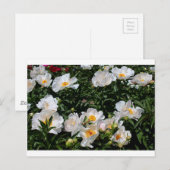 Carte Postale Un aperçu inégalé (Devant / Derrière)