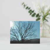 Carte Postale Un arbre (Debout devant)