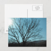 Carte Postale Un arbre (Devant / Derrière)