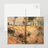 Carte Postale Un arbre dans un champ pendant la journée ensoleil (Devant / Derrière)