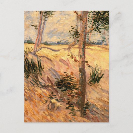 Carte Postale Un arbre dans un champ pendant la journée ensoleil (Devant)