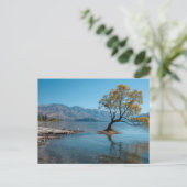 Carte Postale Un arbre dans un lac (Debout devant)