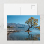 Carte Postale Un arbre dans un lac (Devant / Derrière)