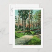 Carte Postale Un arbre tombé sur la scène du parc Woodland (Devant / Derrière)