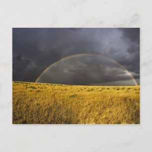 Carte Postale Un arc-en-ciel apparaissant à travers un après-mid