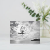 Carte Postale Un avion de ligne arrive pour atterrir à Princess (Debout devant)