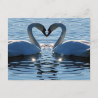 Un baiser du coeur du cygne, réflexions sur l'amou