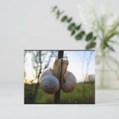 Carte Postale Un Baiser Lent et Doux (Debout devant)