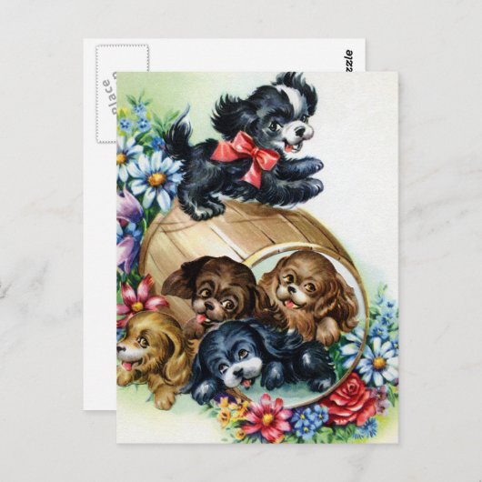 Carte Postale Un baril de chiots (Devant / Derrière)