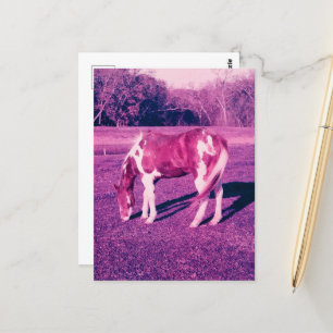 Carte Postale Un beau cheval de peinture a expiré la photographi