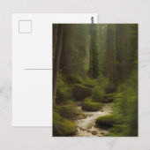 Carte Postale Un Beau Fleuve Forestier (Devant / Derrière)