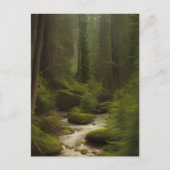 Carte Postale Un Beau Fleuve Forestier (Devant)