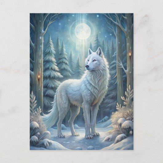 Carte Postale Un Beau Loup Blanc (Devant)