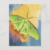 Carte Postale Un beau papillon de nuit (Devant)
