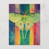 Carte Postale Un beau papillon de nuit vert (Devant)