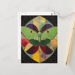 Carte Postale Un beau papillon de nuit vert coloré