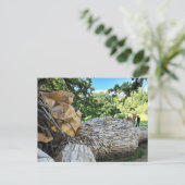 Carte Postale Un beau troll endormi (Debout devant)