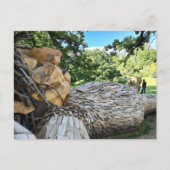 Carte Postale Un beau troll endormi (Devant)