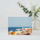 Carte Postale Un billet de Gull (Debout devant)