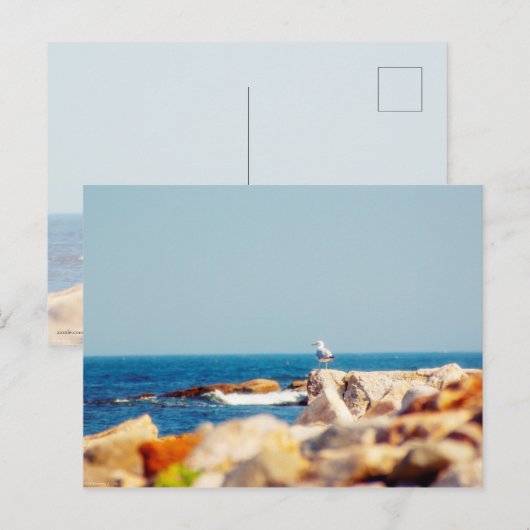 Carte Postale Un billet de Gull (Devant / Derrière)